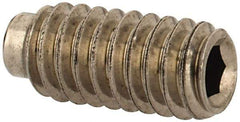 Value Collection - #8-32 UNC, 3/8" OAL, Half Dog Point Set Screw - Grade Austenitic A2 Stainless Steel, 5/64" Key - USA Tool & Supply