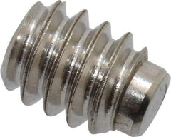 Value Collection - #10-24 UNC, 1/4" OAL, Half Dog Point Set Screw - Grade Austenitic A2 Stainless Steel, 3/32" Key - USA Tool & Supply
