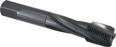 OSG - 3/4-16 UNF 4 Flute 3B Modified Bottoming Spiral Flute Tap - Powdered Metal, Oxide Finish, 4-1/4" OAL, Right Hand Flute, Right Hand Thread, H3, Series 313 - USA Tool & Supply