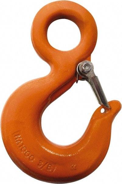 CM - Chain Grade 100, 22,600 Lbs. Load Limit Eye Rigging Hook with Latch - 1.78 Inch Hook Throat, 7.31 Inch Reach, 2 Inch Eye Inside Diameter, 5/8 Inch Chain Diameter, 10.07 Inch Overall Length, 0.94 Inch Eye Thickness - USA Tool & Supply