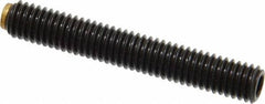 J.W. Winco - M6x1.00 Metric Coarse, 40mm Length of Thread, Soft Tip Point Set Screw - Grade 5.8 Steel, 3mm Key - USA Tool & Supply