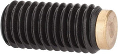 J.W. Winco - M10x1.50 Metric Coarse, 20mm Length of Thread, Soft Tip Point Set Screw - Grade 5.8 Steel, 5mm Key - USA Tool & Supply