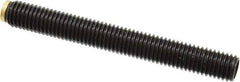 J.W. Winco - M12x1.75 Metric Coarse, 100mm Length of Thread, Soft Tip Point Set Screw - Grade 5.8 Steel, 6mm Key - USA Tool & Supply