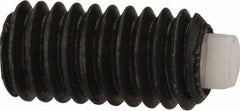 J.W. Winco - M4x0.70 Metric Coarse, 8mm Length of Thread, Soft Tip Point Set Screw - Grade 5.8 Steel, 2mm Key - USA Tool & Supply