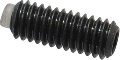 J.W. Winco - M4x0.70 Metric Coarse, 10mm Length of Thread, Soft Tip Point Set Screw - Grade 5.8 Steel, 2mm Key - USA Tool & Supply