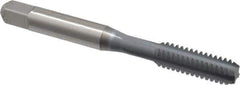 OSG - 1/4-20 UNC 4 Flute elektraLUBE Finish High Speed Steel Straight Flute Standard Hand Tap - Bottoming, Right Hand Thread, 2-1/2" OAL, 1" Thread Length, H11 Limit, 0.005" Oversize - Exact Industrial Supply
