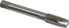 OSG - M12x1.75 Metric Coarse, 3 Flute, Bright Finish, High Speed Steel Spiral Point Tap - Plug Chamfer, Right Hand Thread, 3-3/8" OAL, 1-21/32" Thread Length, 0.367" Shank Diam, 6H Class of Fit, Series 142 - Exact Industrial Supply