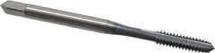 OSG - #6-32 UNC 2 Flute elektraLUBE Finish High Speed Steel Straight Flute Standard Hand Tap - Plug, Right Hand Thread, 2" OAL, 11/16" Thread Length, H1 Limit - Exact Industrial Supply