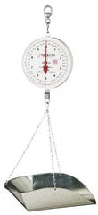 Detecto - 40 Lb. Capacity, 8 Inch Dial Hanging Scale with Galvanized Scoop - 20 Lbs. Graduation, 2 Revolutions - USA Tool & Supply