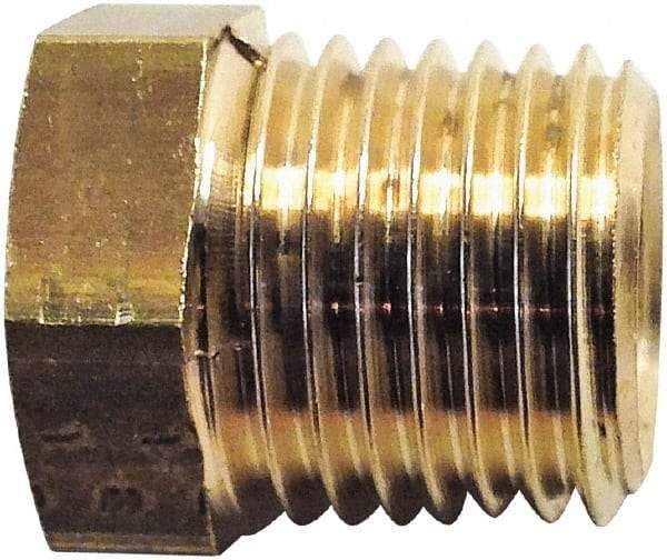 Legris - 1/2 Male Thread x 1/4 Female Thread, Brass Industrial Pipe Hex Bushing - MBSPT x FBSPP, 3,626 psi - USA Tool & Supply