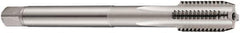 DORMER - 1-1/2 - 6 UNC 2B 4 Flute Bright Finish Cobalt Straight Flute Machine Tap - Bottoming, Right Hand Thread, 200mm OAL, 60mm Thread Length, Oversize - USA Tool & Supply