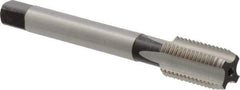 DORMER - M13x1.50 Metric Fine 6H 3 Flute Bright Finish High Speed Steel Straight Flute Machine Tap - Bottoming, Right Hand Thread, 89mm OAL, 22mm Thread Length, Oversize - Exact Industrial Supply
