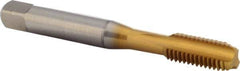 DORMER - M8x1.25 Metric Coarse 6H 3 Flute TiN Finish High Speed Steel Straight Flute Machine Tap - Bottoming, Right Hand Thread, 72mm OAL, 16mm Thread Length, Oversize - Exact Industrial Supply