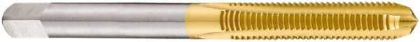 DORMER - M10x1.50 Metric Coarse 6H 3 Flute TiN Finish High Speed Steel Straight Flute Machine Tap - Bottoming, Right Hand Thread, 80mm OAL, 18mm Thread Length, Oversize - USA Tool & Supply