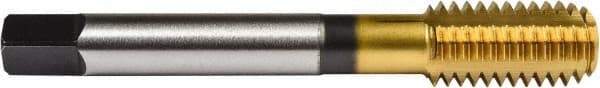 Union Butterfield - 5/16-18 UNC 2B/3B H5 Thread Limit Bottoming Thread Forming Tap - Powdered Metal High Speed Steel, TiN Finish, 2-23/32" OAL, 11/16" Thread Length, Right Hand Thread, Series 1641 - USA Tool & Supply