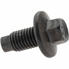 Value Collection - Pilot Point Oil Drain Plug - M12 Thread - USA Tool & Supply