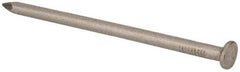 Made in USA - 20D, 6 Gauge, 4" OAL Common Nails - Smooth Shank, T304 Stainless Steel - USA Tool & Supply