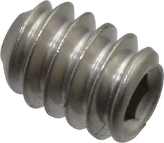 Value Collection - #10-24 UNC, 1/4" OAL, Cup Point Set Screw - Grade 18-8 Stainless Steel, 3/32" Key - USA Tool & Supply