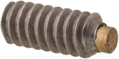 Made in USA - #4-40 UNC, 1/4" Length of Thread, Soft Tip Point Set Screw - Grade 18-8 Stainless Steel - USA Tool & Supply