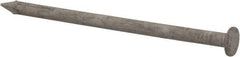 Value Collection - 8D, 10 Gauge, 2-1/2" OAL Common Nails - Ring Shank, Grade 2 Steel, Galvanized Finish - USA Tool & Supply