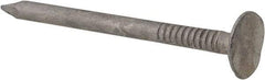 Value Collection - 11 Gauge, 1-3/4" OAL Roofing Nails - Ring Shank, Grade 2 Steel, Galvanized Finish - USA Tool & Supply