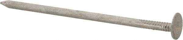 Value Collection - 11 Gauge, 3" OAL Roofing Nails - Ring Shank, Grade 2 Steel, Galvanized Finish - USA Tool & Supply