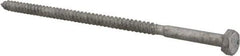 Value Collection - 1/4" Screw, 6" Length Under Head, Steel, Hex Head Lag Screw - Hot Dipped Galvanized, AISI 1006, ASME B18.2.1 Fastner, Grade 1006-1022 - USA Tool & Supply