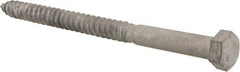 Value Collection - 1/2" Screw, 7" Length Under Head, Steel, Hex Head Lag Screw - Hot Dipped Galvanized, AISI 1006, ASME B18.2.1 Fastner, Grade 1006-1022 - USA Tool & Supply