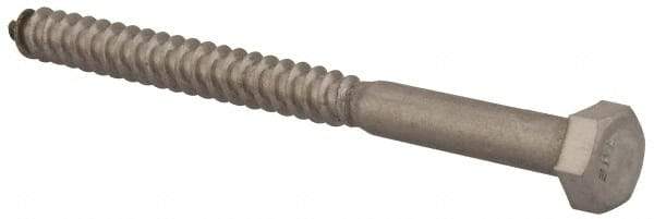 Value Collection - 5/16" Screw, 4" Length Under Head, Stainless Steel, Hex Head Lag Screw - Grade 18-8, Uncoated - USA Tool & Supply