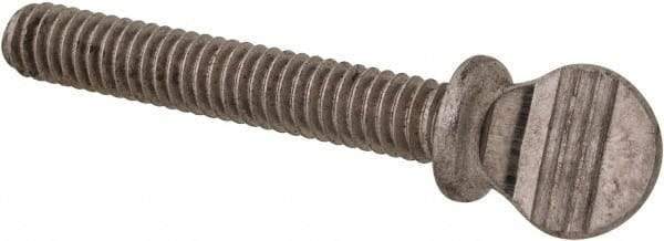 Value Collection - #8-32 Oval Shoulder Grade 18-8 Stainless Steel Thumb Screw - 1" OAL, 0.38" Head Height - USA Tool & Supply