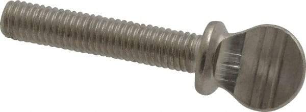 Value Collection - #10-32 Oval Shoulder Grade 18-8 Stainless Steel Thumb Screw - 1" OAL, 0.48" Head Height - USA Tool & Supply