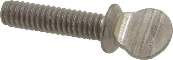 Value Collection - 1/4-20 Oval Shoulder Grade 18-8 Stainless Steel Thumb Screw - 1" OAL, 0.64" Head Height - USA Tool & Supply