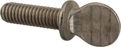 Value Collection - 5/16-18 Oval Shoulder Grade 18-8 Stainless Steel Thumb Screw - 1" OAL, 0.78" Head Height - USA Tool & Supply