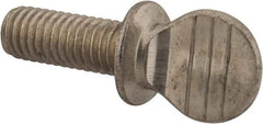 Value Collection - 3/8-16 Oval Shoulder Grade 18-8 Stainless Steel Thumb Screw - 1" OAL, 0.95" Head Height - USA Tool & Supply