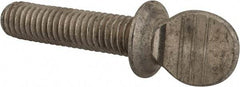Value Collection - 3/8-16 Oval Shoulder Grade 18-8 Stainless Steel Thumb Screw - 1-1/2" OAL, 0.95" Head Height - USA Tool & Supply