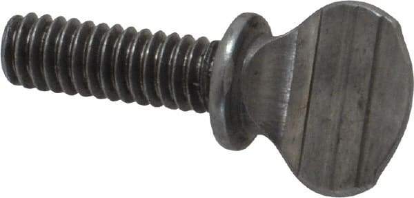 Value Collection - #8-32 Oval Shoulder Grade 2 Steel Thumb Screw - 1/2" OAL, 0.39" Head Height, Uncoated - USA Tool & Supply