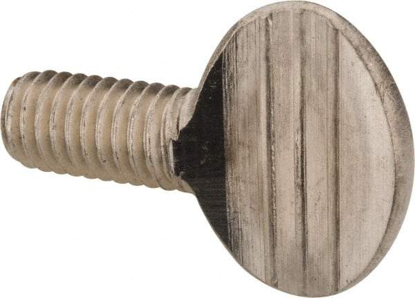 Value Collection - 3/8-16 Oval Shoulderless Grade 18-8 Stainless Steel Thumb Screw - 3/4" OAL, 0.95" Head Height - USA Tool & Supply