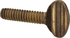 Value Collection - #10-24 Oval Shoulderless Brass Thumb Screw - 3/4" OAL, 0.48" Head Height - USA Tool & Supply