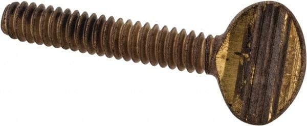 Value Collection - #10-24 Oval Shoulderless Brass Thumb Screw - 1" OAL, 0.48" Head Height - USA Tool & Supply