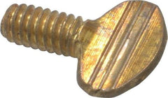 Value Collection - 1/4-20 Oval Shoulderless Brass Thumb Screw - 1/2" OAL, 0.64" Head Height - USA Tool & Supply