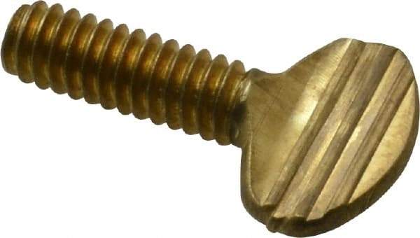 Value Collection - 1/4-20 Oval Shoulderless Brass Thumb Screw - 3/4" OAL, 0.64" Head Height - USA Tool & Supply