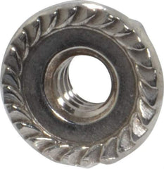 Value Collection - #10-24, 1/2" Flange Diam, Serrated Flange Nut - Grade 18-8 Stainless Steel, 7/32" Flange Height - USA Tool & Supply