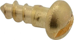 Value Collection - #2, 1/4" Length Under Head, Slotted Drive, Round Head Wood Screw - ASME B18.6.1, Brass - USA Tool & Supply