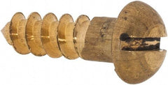 Value Collection - #12, 3/4" Length Under Head, Slotted Drive, Round Head Wood Screw - ASME B18.6.1, Brass - USA Tool & Supply