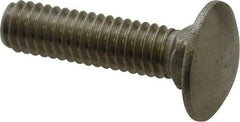 Value Collection - 5/16-18 UNC 1-1/4" Length Under Head, Standard Square Neck, Carriage Bolt - 18-8 Stainless Steel, Uncoated - USA Tool & Supply