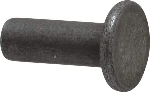 RivetKing - 3/16" Body Diam, Flat Uncoated Steel Solid Rivet - 1/2" Length Under Head - USA Tool & Supply