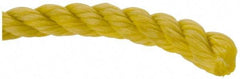 Value Collection - 600' Max Length Polypropylene Rope - 1/2" Diam, 472 Lb Capacity - USA Tool & Supply