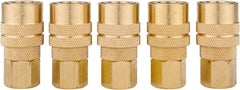 Value Collection - 5 Piece 1/4" Body 1/4 NPT 145 psi Brass Industrial Pneumatic Coupling Plug Set - USA Tool & Supply