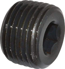 Unbrako - 1/2-14, 9/16" OAL, Alloy Steel Socket Pressure Plug - 3/4" Taper per Foot, 3/8" Hex Key - USA Tool & Supply