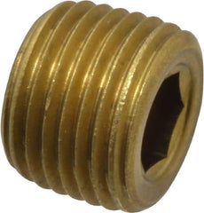 Unbrako - 1/8-27, 5/16" OAL, Brass Socket Pressure Plug - 3/4" Taper per Foot, 3/16" Hex Key - USA Tool & Supply